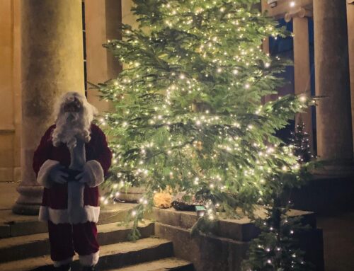 Christmas lights switch on at Pittville Pump Room