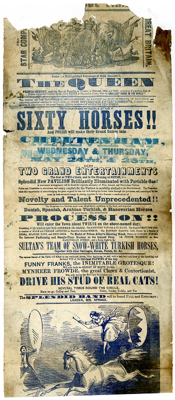 Sixty-Horses-whole